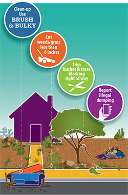 Neat Neighbor Graphic