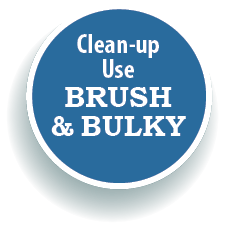 CLEAN UP WITH BRUSH & BULKY
