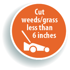 TRIM WEEDS & GRASS logo