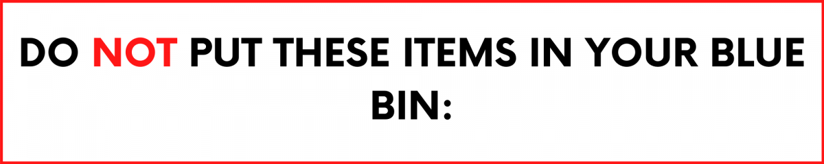 Header reads Do not put these items in the Blue Recycling Bin