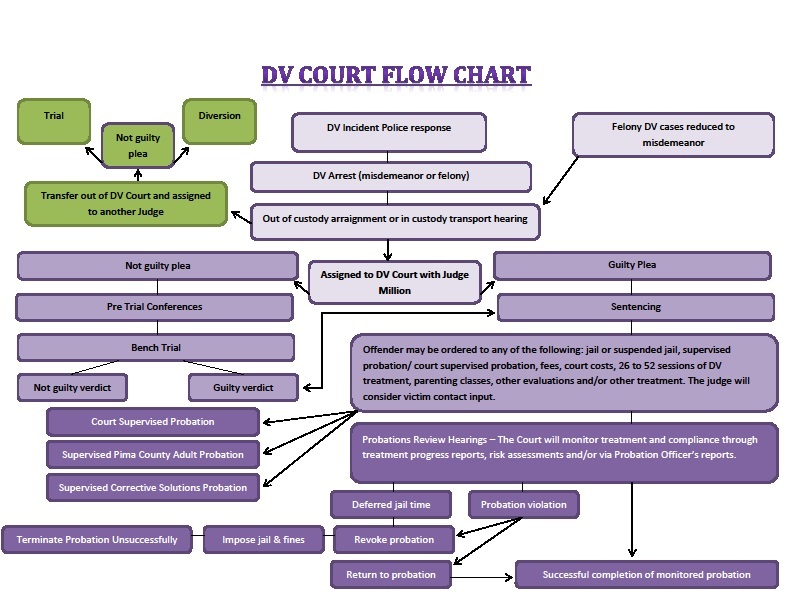 Flowchart for Domestic Violence Court