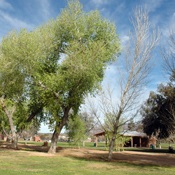 Fort Lowell Park: Ramada 7