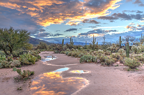 Tucson desert wash after a rain, the clouds orange and violet and reflected in puddles in the wash