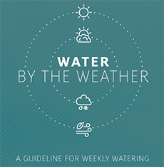Weekly_watering_cover_image_0.png