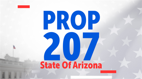 Arizona Prop-207