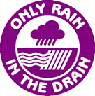 Only Rain in the Drain