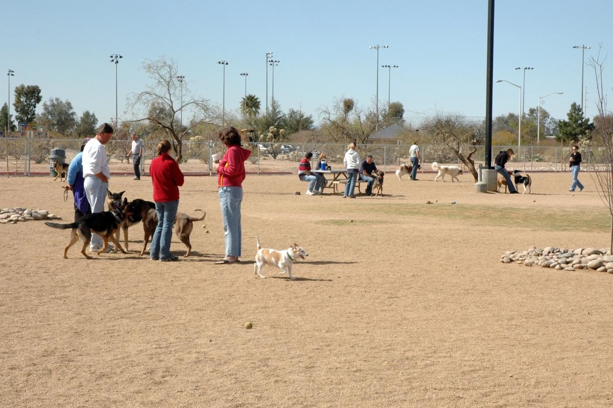 people and dogs at Morris KUdall_dogpark