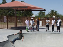 Skate kids at Santa Rita park